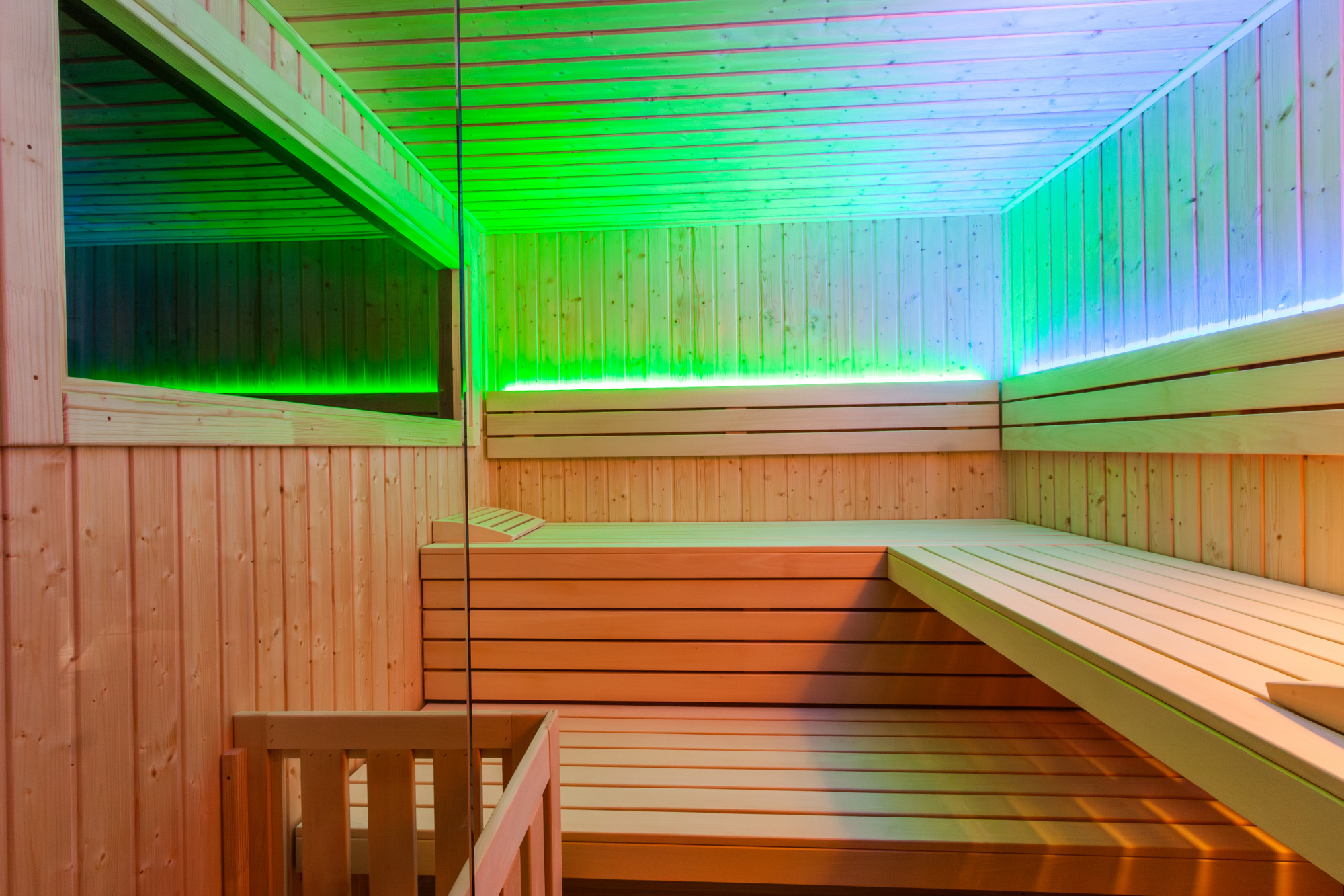 Sauna Harvia Alpina Large Panorama