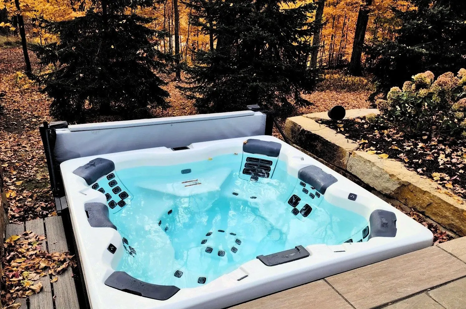 Spa Bullfrog A8